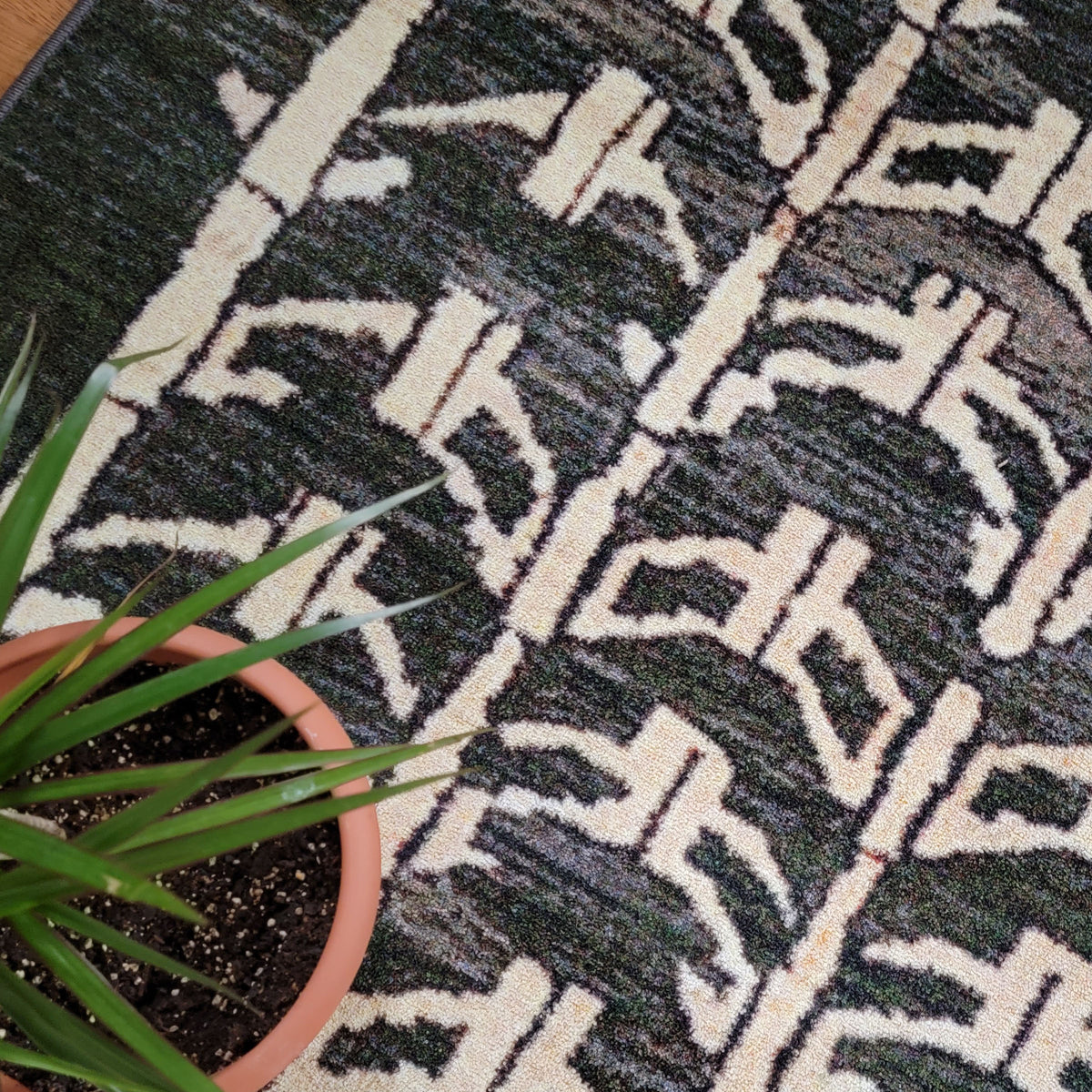 A close-up of a dark green and cream geometric patterned rug with a terracotta potted plant in the lower-left corner.