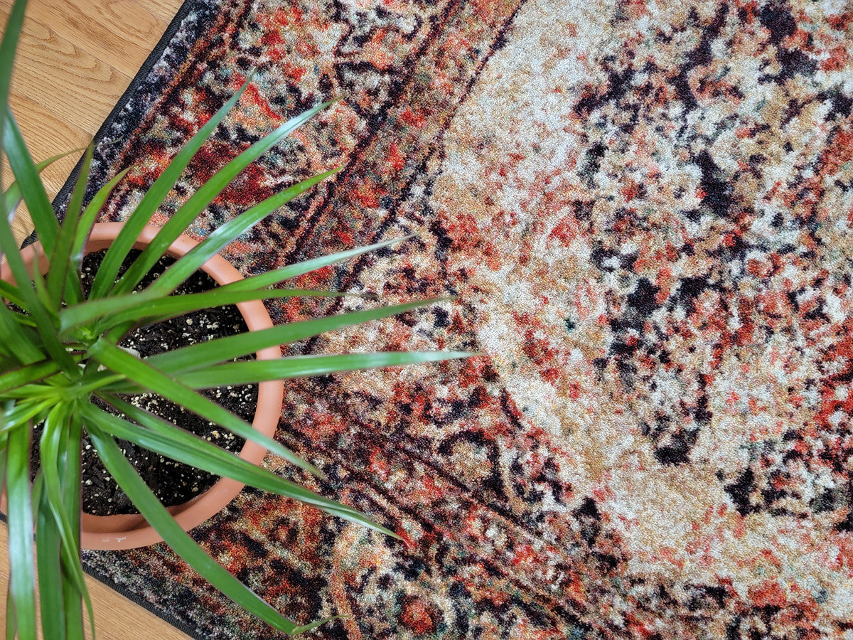 A close-up overhead view of a patterned area rug with a potted green plant placed on it, set on a light wood floor.