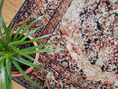 A close-up overhead view of a patterned area rug with a potted green plant placed on it, set on a light wood floor.