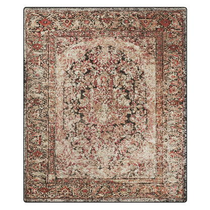 A rectangular vintage-style area rug with an ornate traditional pattern in distressed tones of beige, rust red, brown, and black, shown flat against a white background.